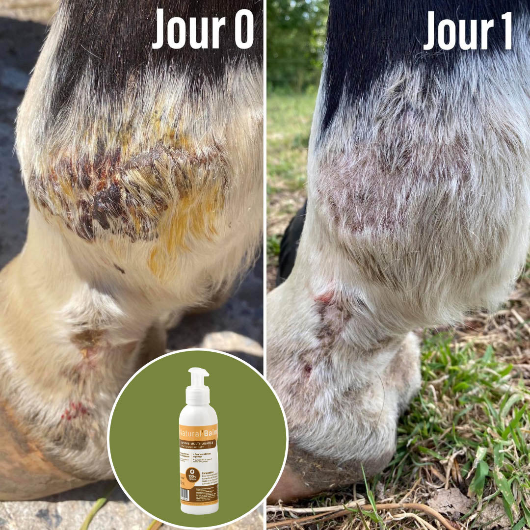 Natural’Balm Natural Innov – Baume Cicatrisant Naturel pour Chevaux et Chiens