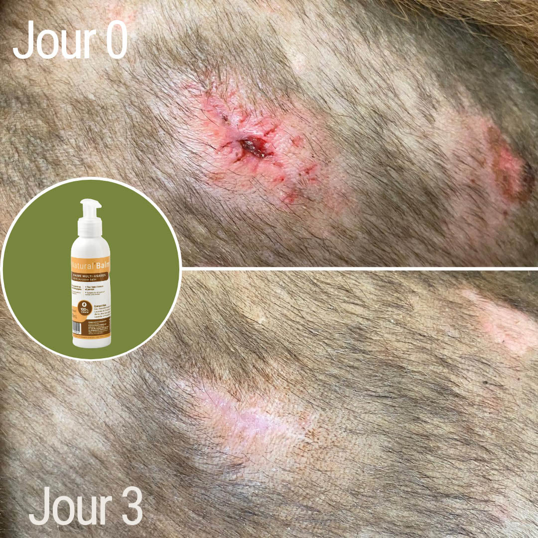 Natural’Balm Natural Innov – Baume Cicatrisant Naturel pour Chevaux et Chiens