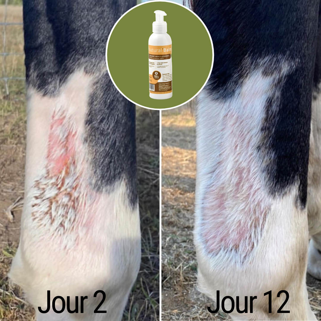 Natural’Balm Natural Innov – Baume Cicatrisant Naturel pour Chevaux et Chiens