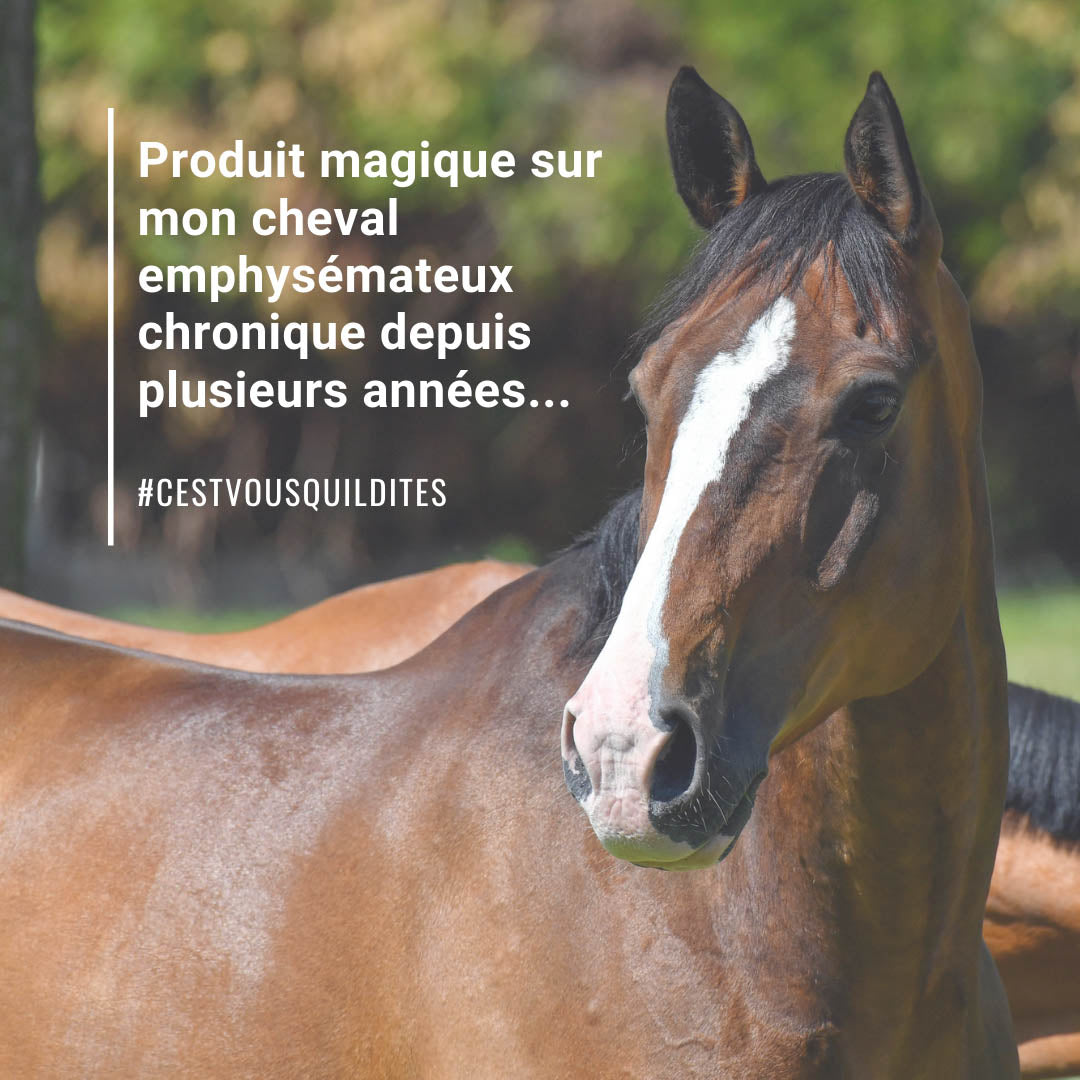 Natural'Breath Natural Innov – Complément Respiratoire Naturel pour Chevaux