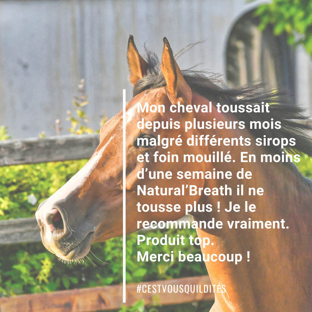 Natural'Breath Natural Innov – Complément Respiratoire Naturel pour Chevaux