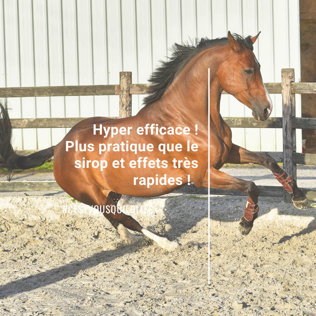 Natural'Breath Natural Innov – Complément Respiratoire Naturel pour Chevaux