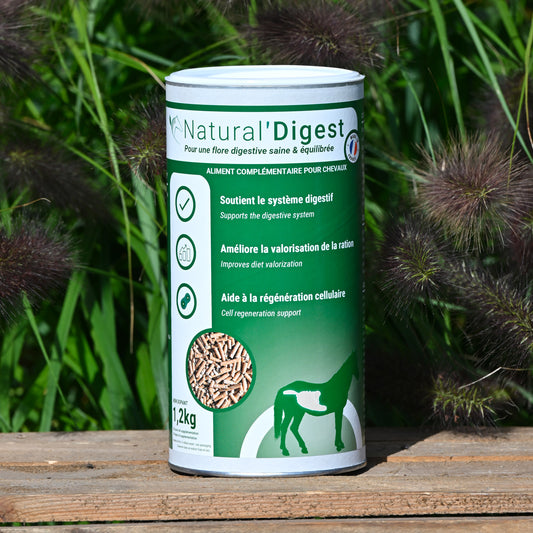 Natural’Digest Natural Innov – Complément Digestif Cheval pour Flore Intestinale et Récupération