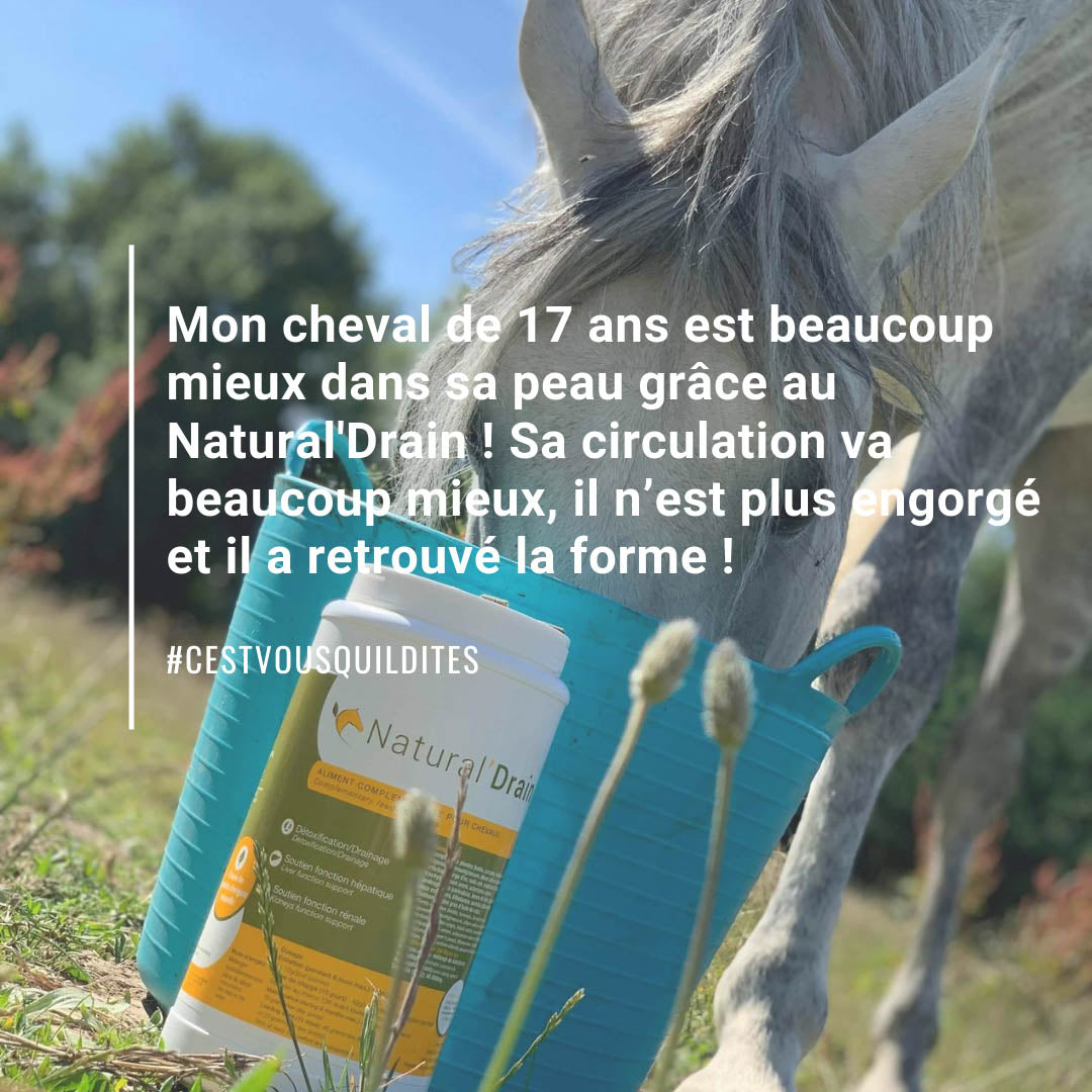 Natural'Drain Natural Innov – Complément Drainage Foie et Reins pour Chevaux