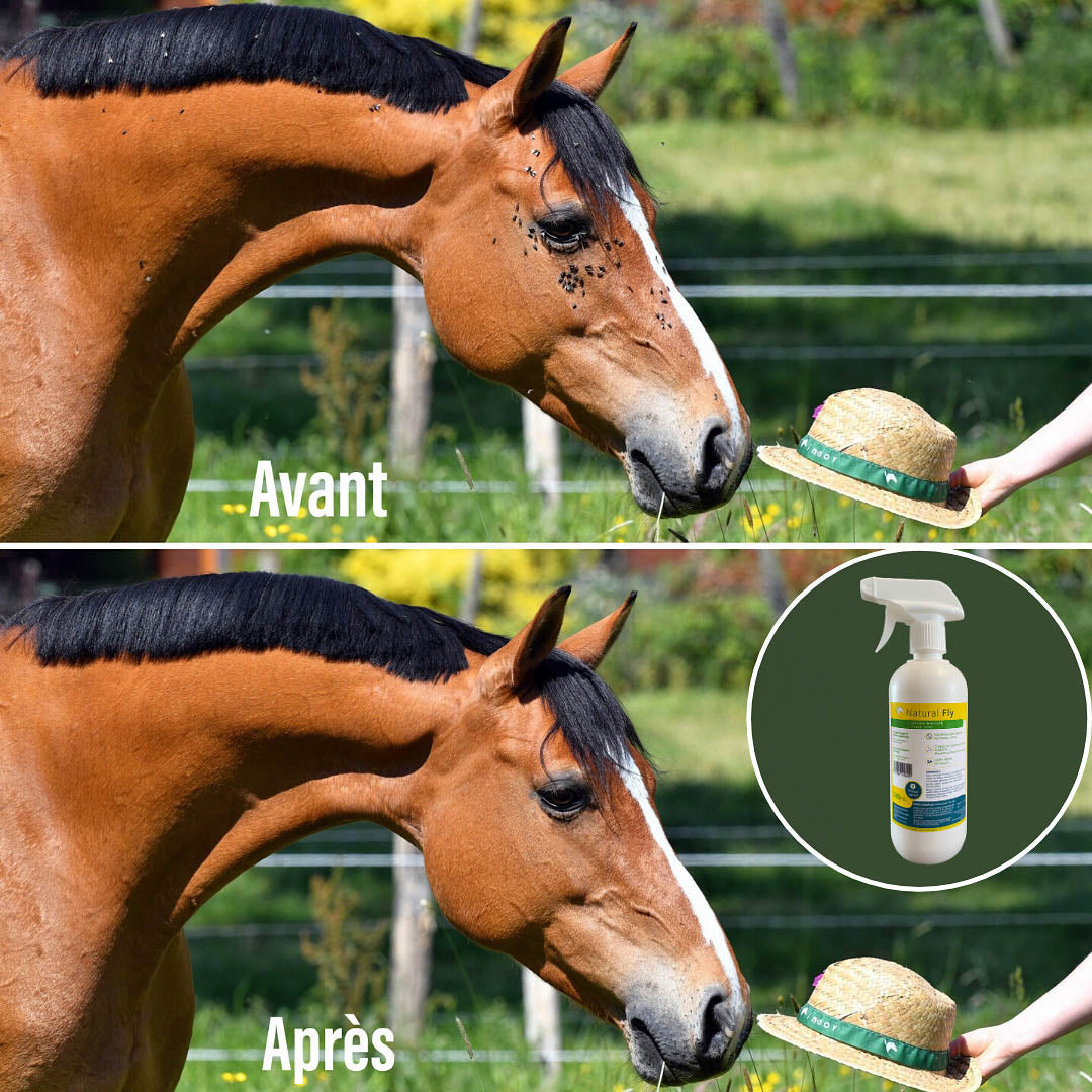 Natural’Fly Natural Innov – Spray Anti-Insectes Naturel pour Chevaux