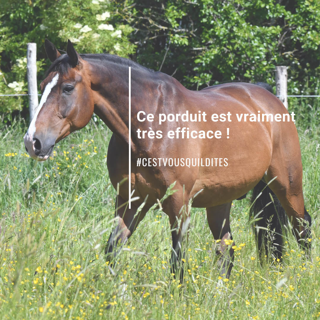 Natural’Fly Natural Innov – Spray Anti-Insectes Naturel pour Chevaux