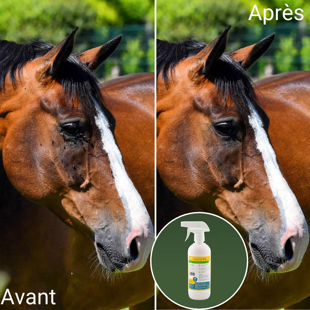 Natural’Fly Natural Innov – Spray Anti-Insectes Naturel pour Chevaux