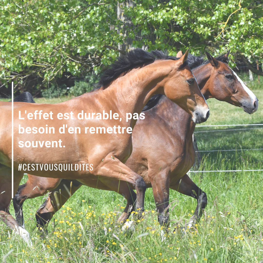 Natural’Fly Natural Innov – Spray Anti-Insectes Naturel pour Chevaux