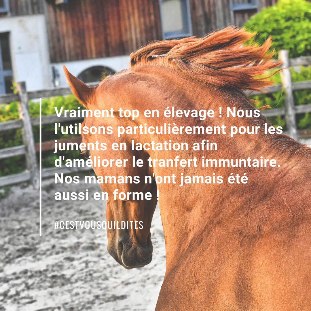 Natural'Immune Natural Innov – Complément Immunité Naturel en Granulés pour Chevaux