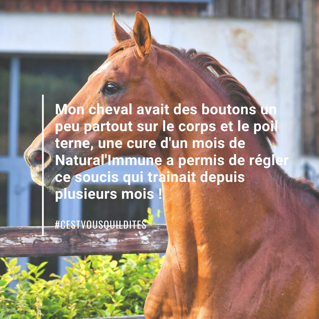 Natural'Immune Natural Innov – Complément Immunité Naturel en Granulés pour Chevaux
