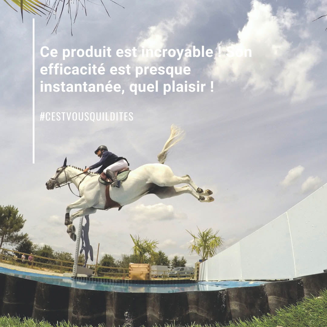 Natural'Moov Natural Innov – Complément Confort Articulaire en Granulés pour Chevaux