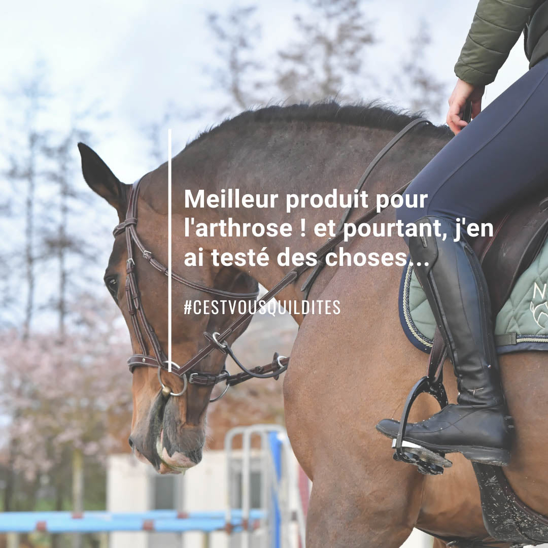Natural'Moov Natural Innov – Complément Confort Articulaire en Granulés pour Chevaux