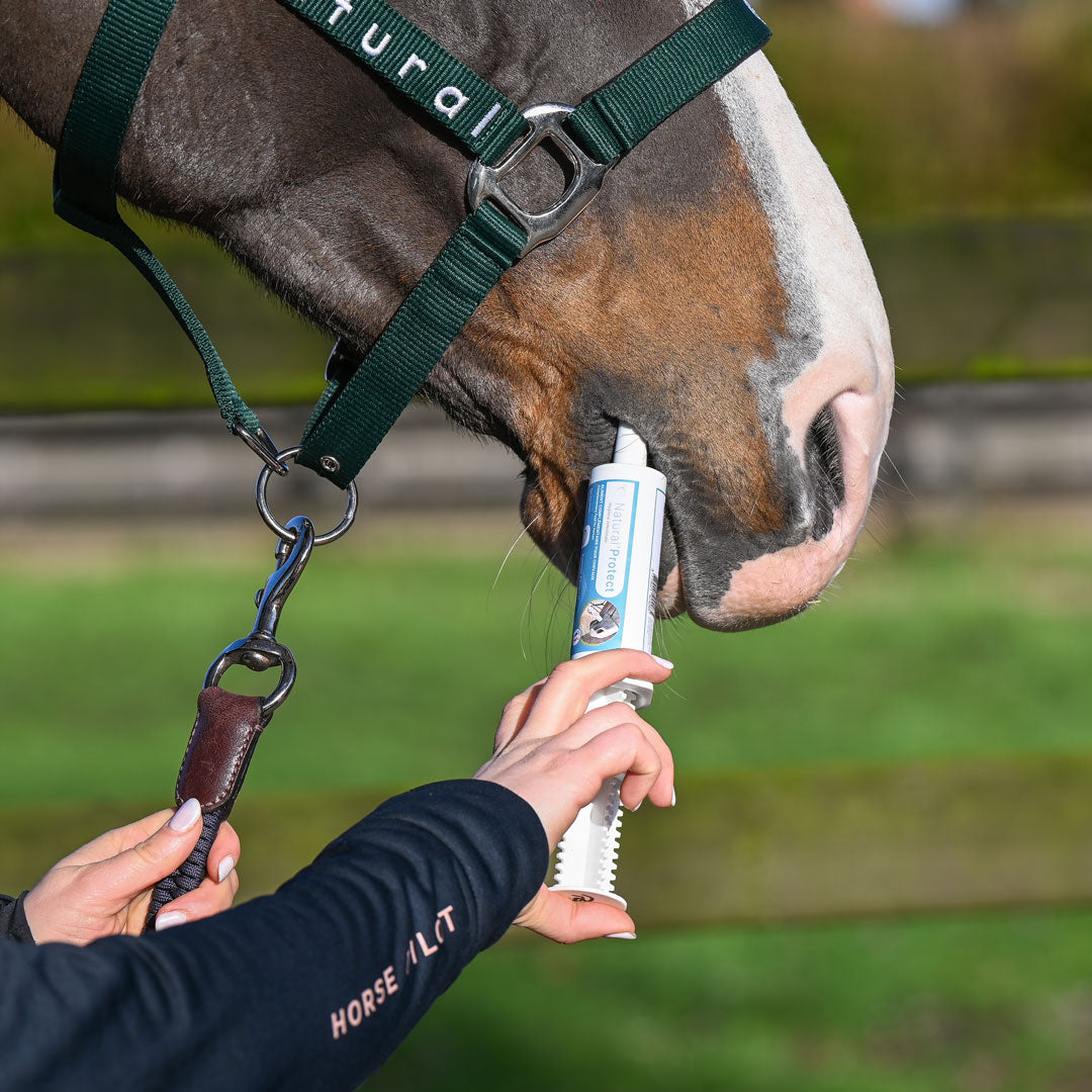 Natural'Protect Natural Innov – Complexe d’Huiles Naturelles Anti-Parasites Intestinaux pour Chevaux