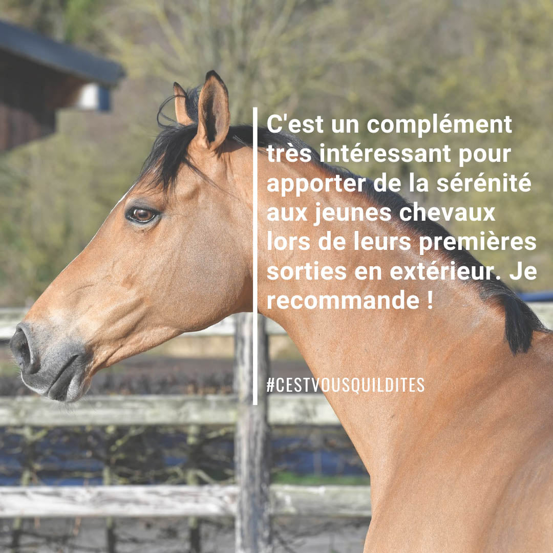 Natural’Relax Natural Innov – Complément Apaisant Cheval & Jument en Chaleur