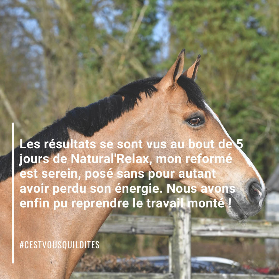 Natural’Relax Natural Innov – Complément Apaisant Cheval & Jument en Chaleur