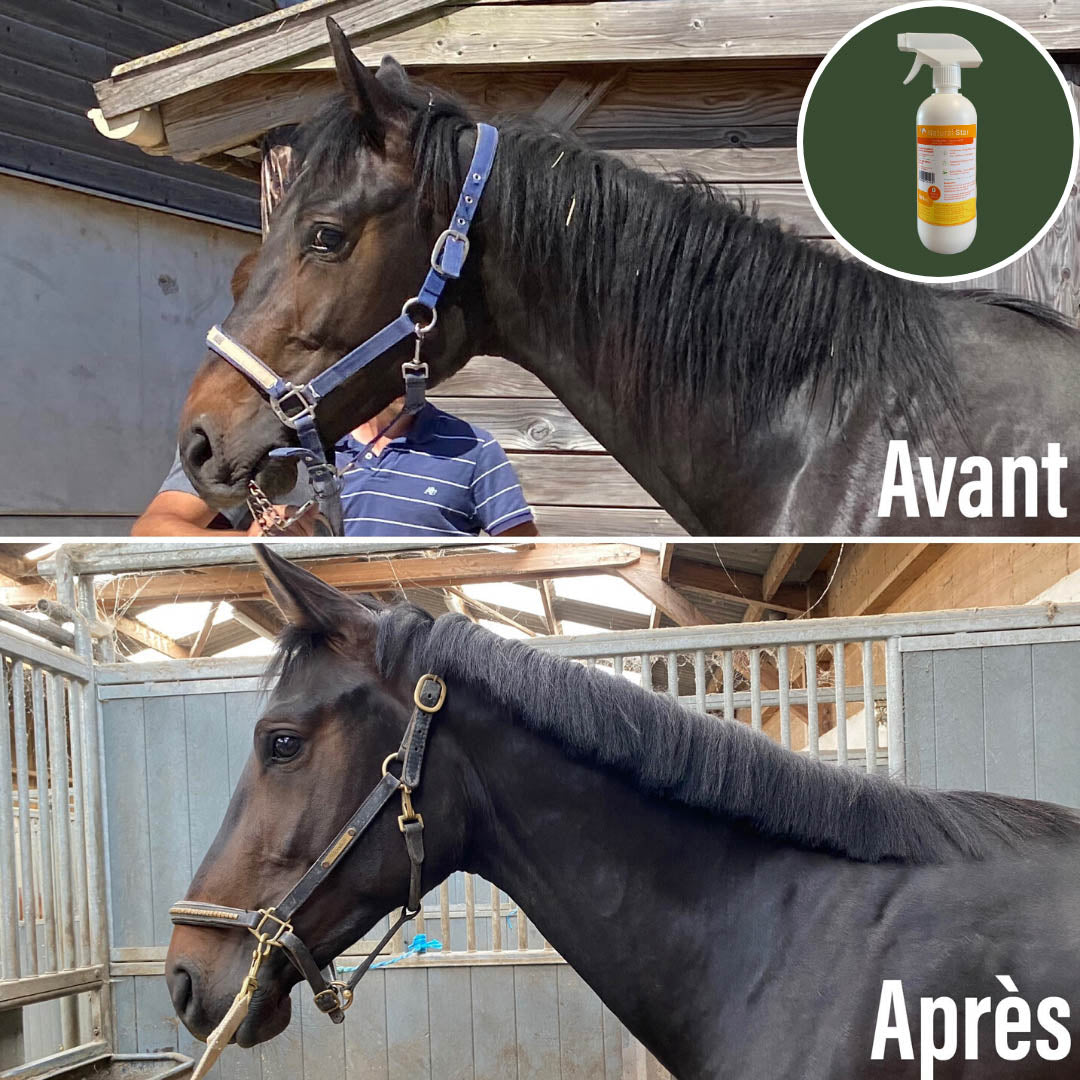 Natural’Star Natural Innov – Spray Démêlant et Lustrant Naturel pour Chevaux