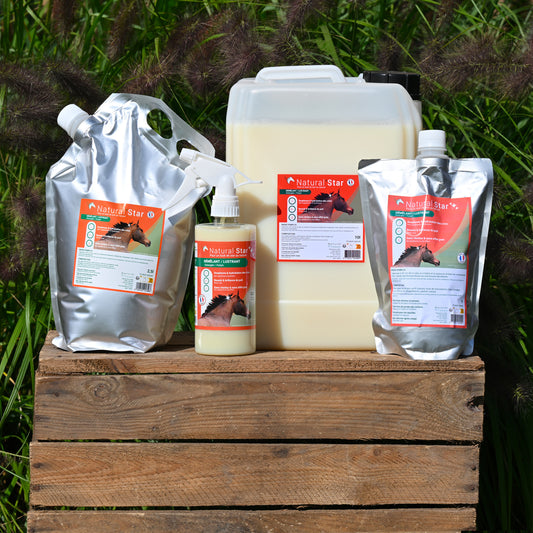 Natural’Star Natural Innov – Spray Démêlant et Lustrant Naturel pour Chevaux