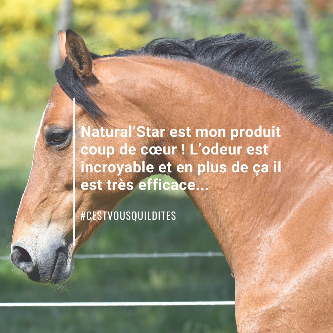 Natural’Star Natural Innov – Spray Démêlant et Lustrant Naturel pour Chevaux
