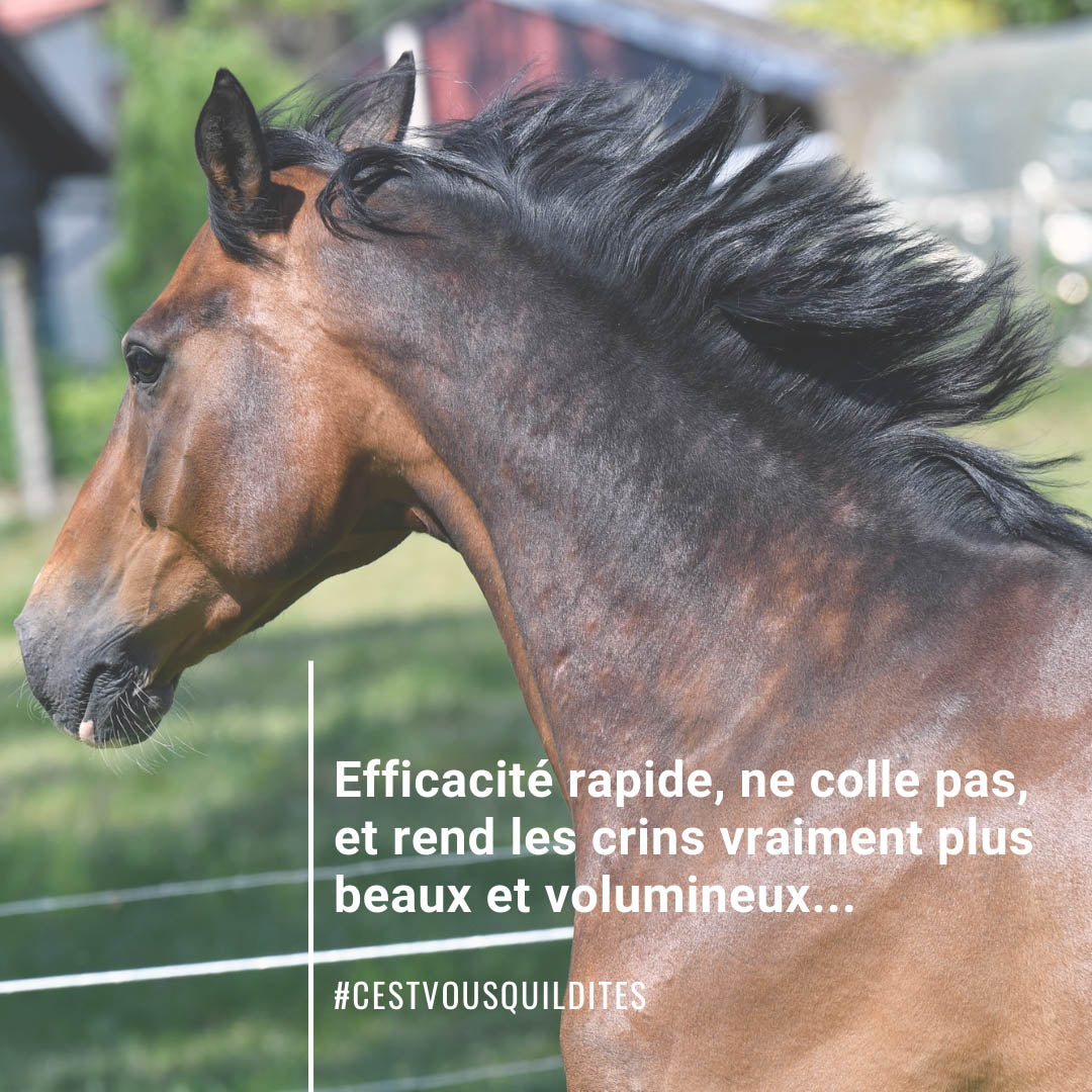 Natural’Star Natural Innov – Spray Démêlant et Lustrant Naturel pour Chevaux