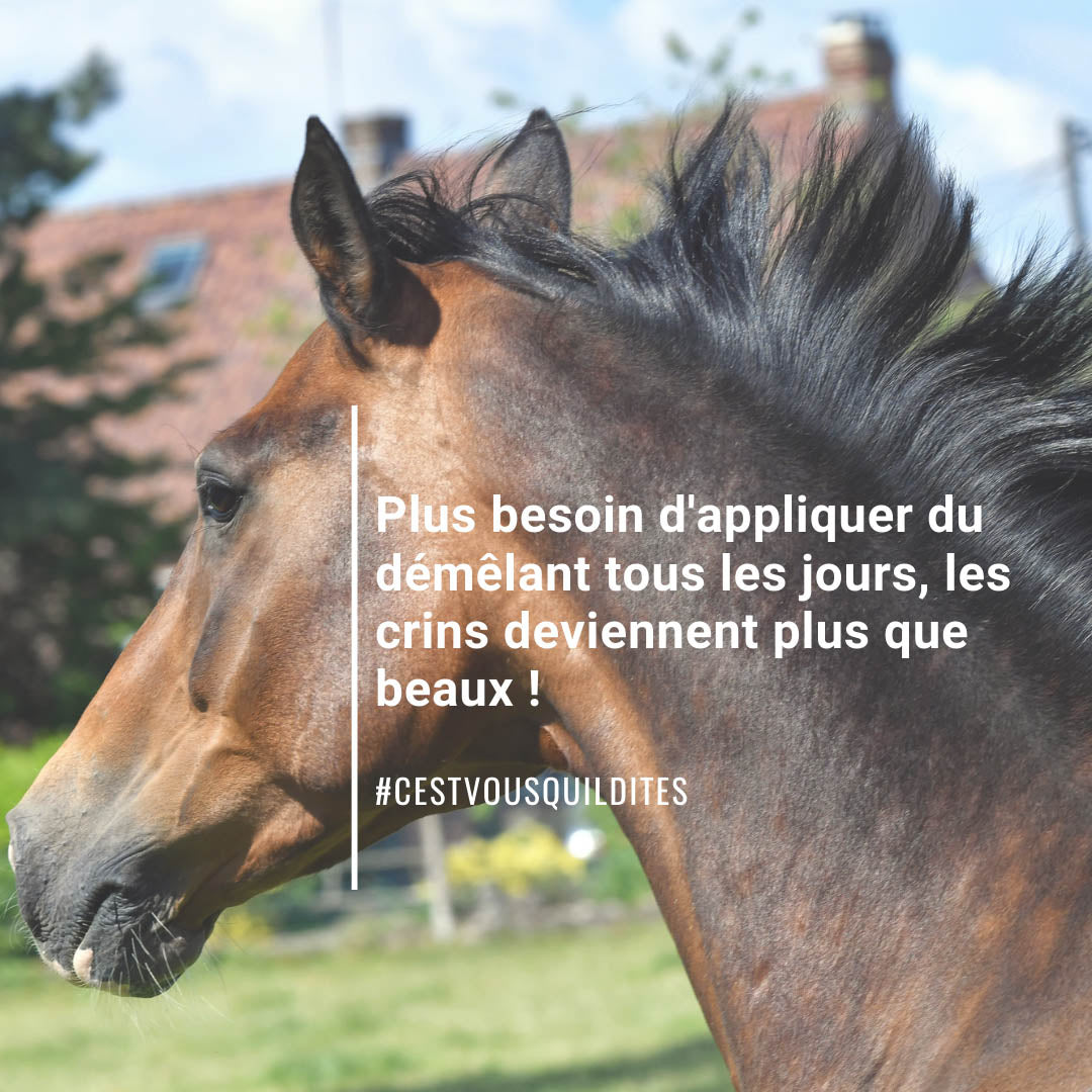 Natural’Star Natural Innov – Spray Démêlant et Lustrant Naturel pour Chevaux