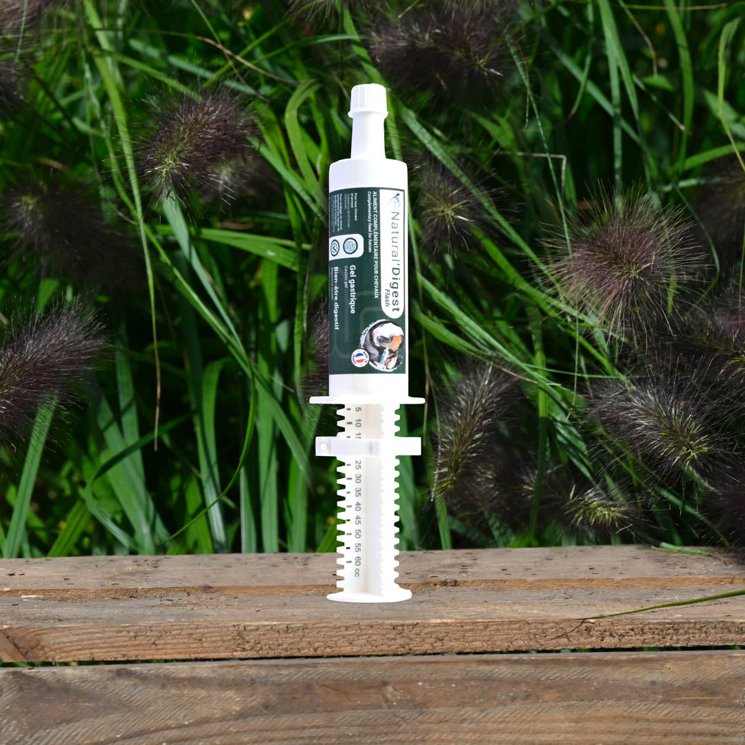 Natural’Digest FLASH Natural Innov – Complément Digestif en Pâte pour Chevaux