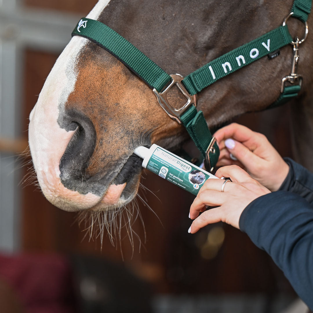 Natural’Digest FLASH Natural Innov – Complément Digestif en Pâte pour Chevaux