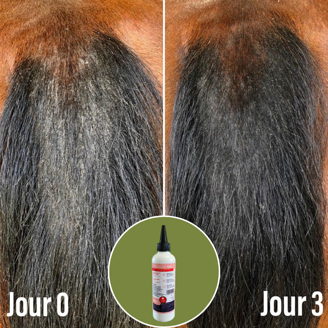Natural’Itch Natural Innov – Lotion Anti-Démangeaisons & Dermite Cheval