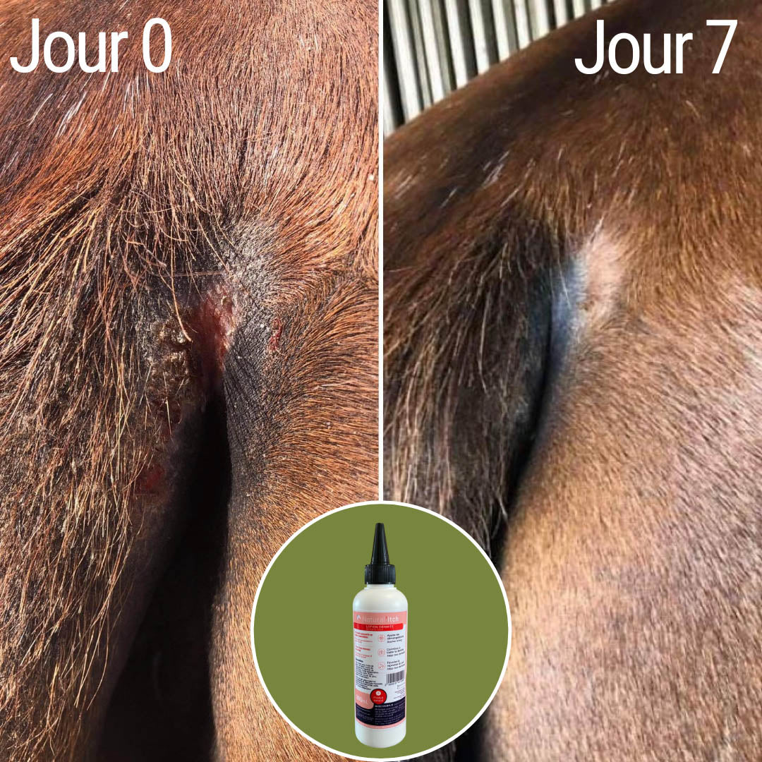 Natural’Itch Natural Innov – Lotion Anti-Démangeaisons & Dermite Cheval