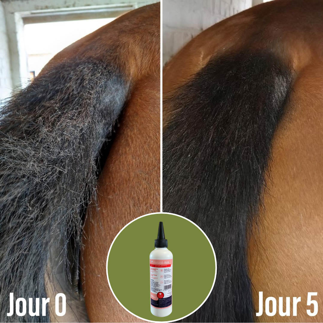 Natural’Itch Natural Innov – Lotion Anti-Démangeaisons & Dermite Cheval