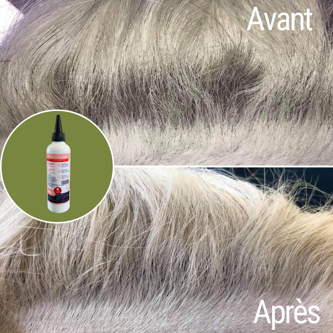 Natural’Itch Natural Innov – Lotion Anti-Démangeaisons & Dermite Cheval