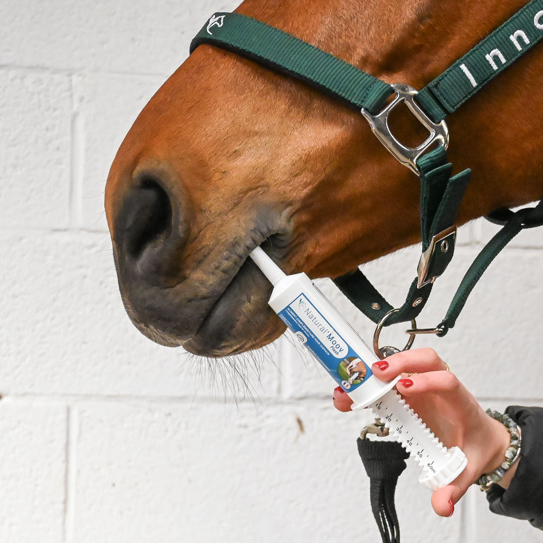 Natural’Moov FLASH Natural Innov – Complément Articulaire en Pâte pour Chevaux