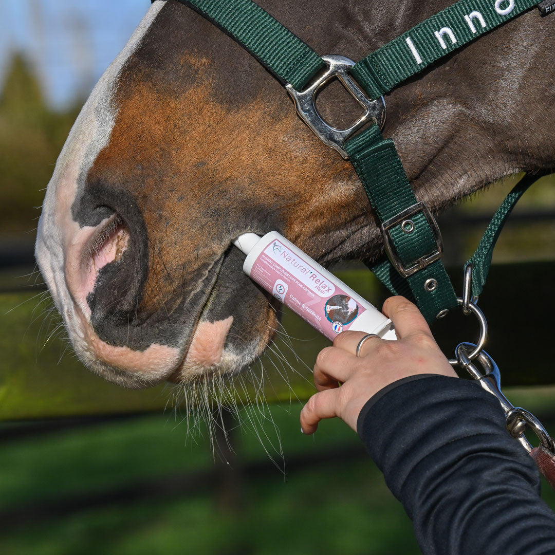 Natural’Relax FLASH Natural Innov – Complément Anti-Stress en Pâte pour Chevaux