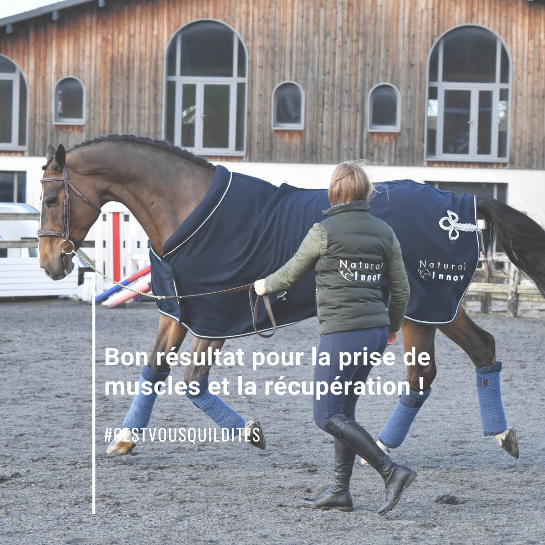 Natural’Top Natural Innov – Complément Cheval Vitalité & Prise Musculaire