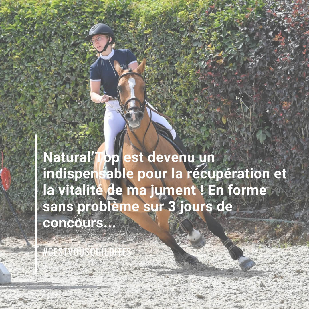 Natural’Top Natural Innov – Complément Cheval Vitalité & Prise Musculaire