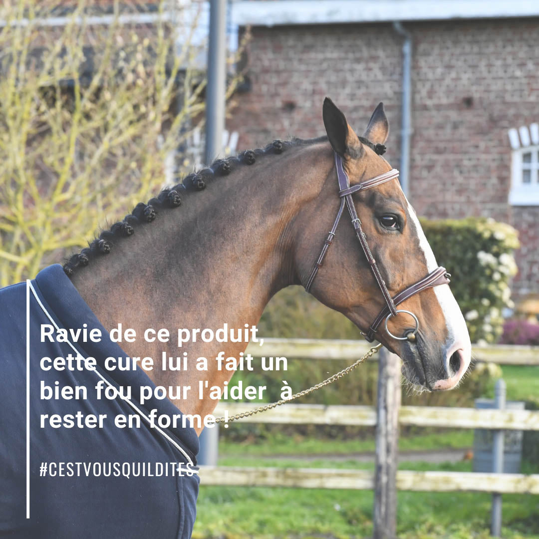 Natural’Top Natural Innov – Complément Cheval Vitalité & Prise Musculaire