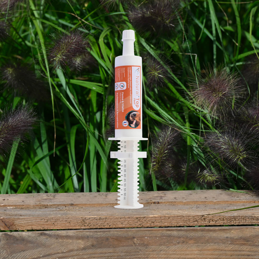 Natural’Top FLASH Natural Innov – Complément Énergie et Récupération en Pâte pour Chevaux
