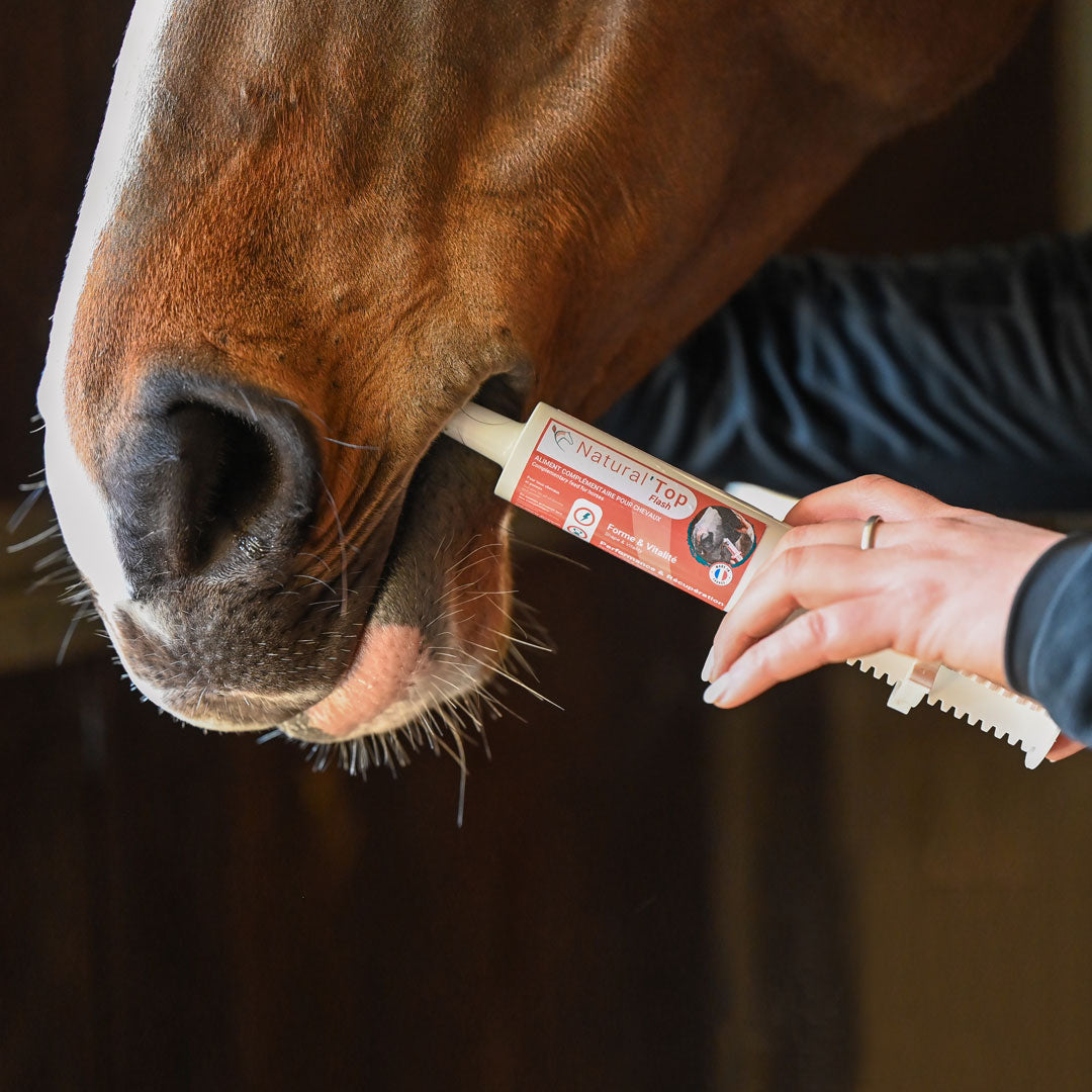 Natural’Top FLASH Natural Innov – Complément Énergie et Récupération en Pâte pour Chevaux