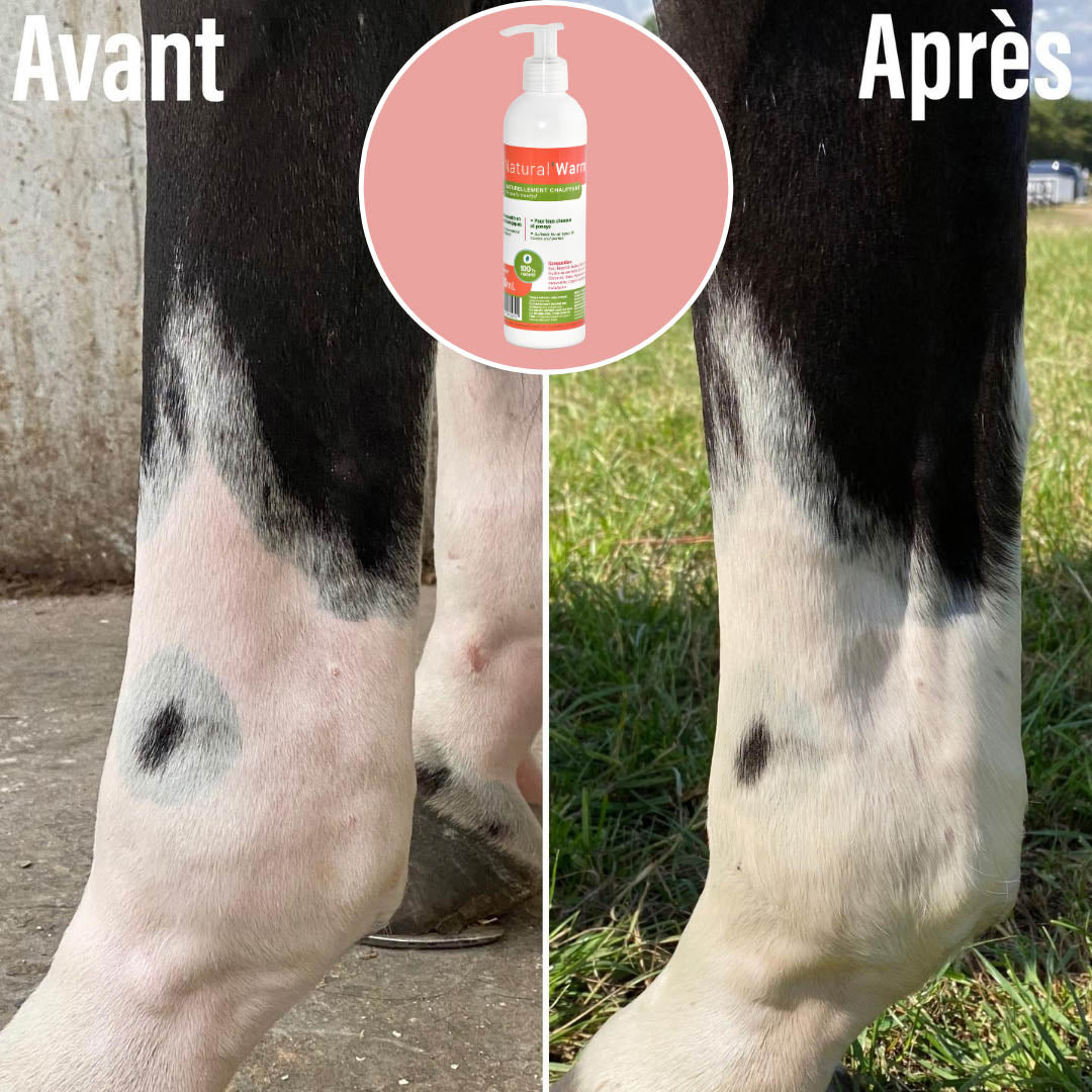 Natural’Warm Natural Innov – Gel Chauffant Bio Cheval Préparation et Récupération Musculaire