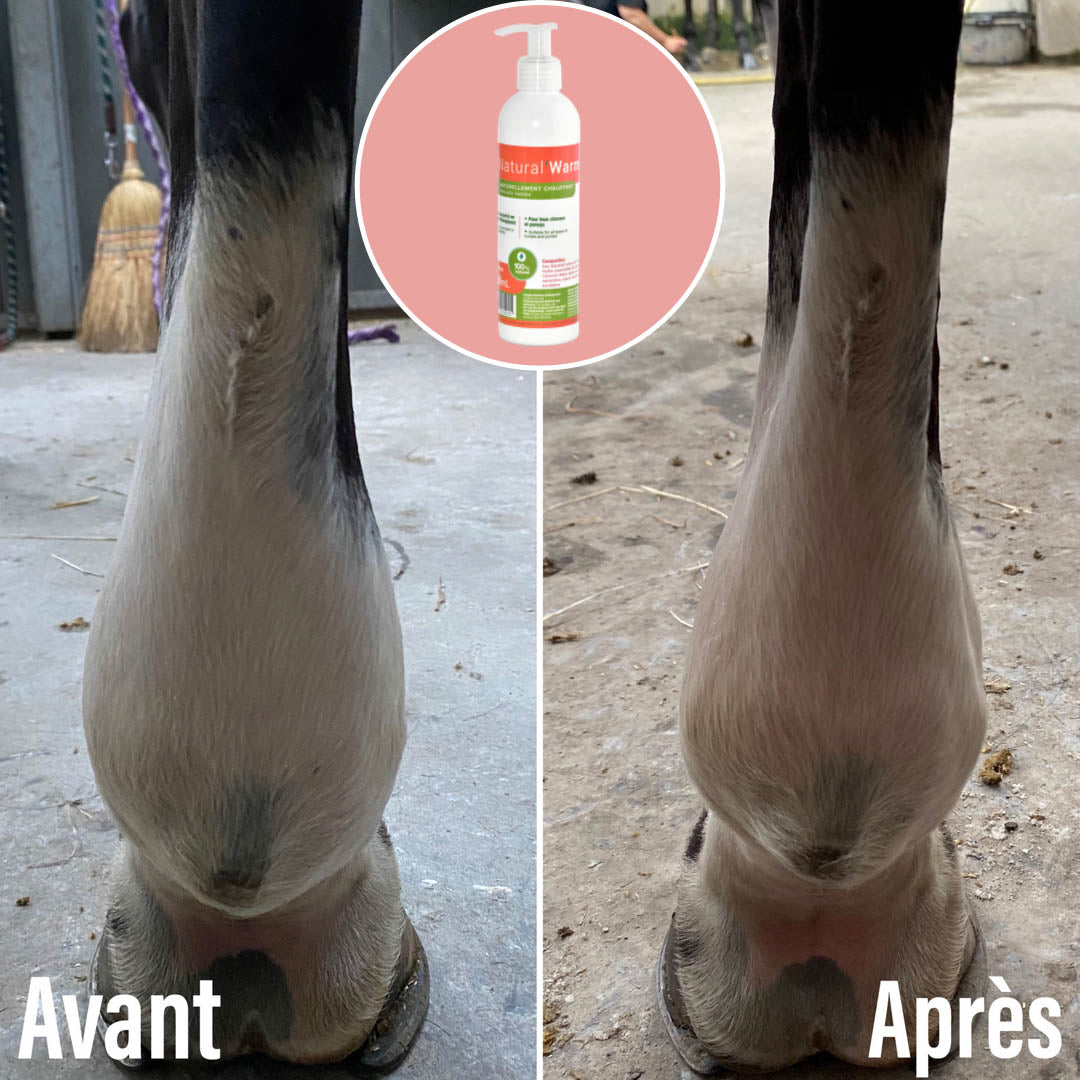 Natural’Warm Natural Innov – Gel Chauffant Bio Cheval Préparation et Récupération Musculaire