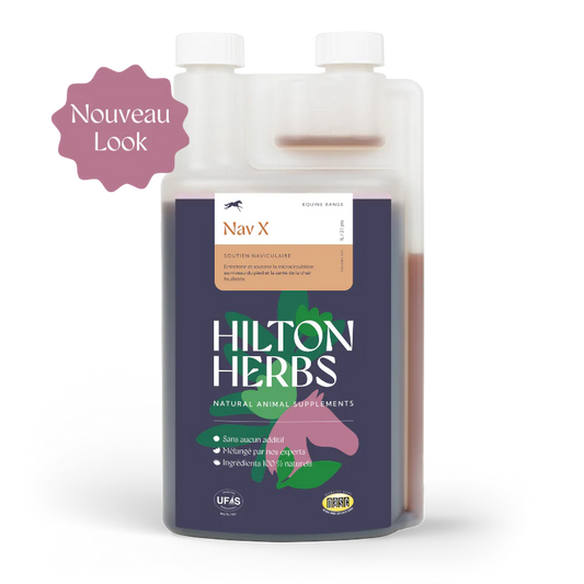 Nav X Liquide – Complément pour la circulation naviculaire - Hilton Herbs