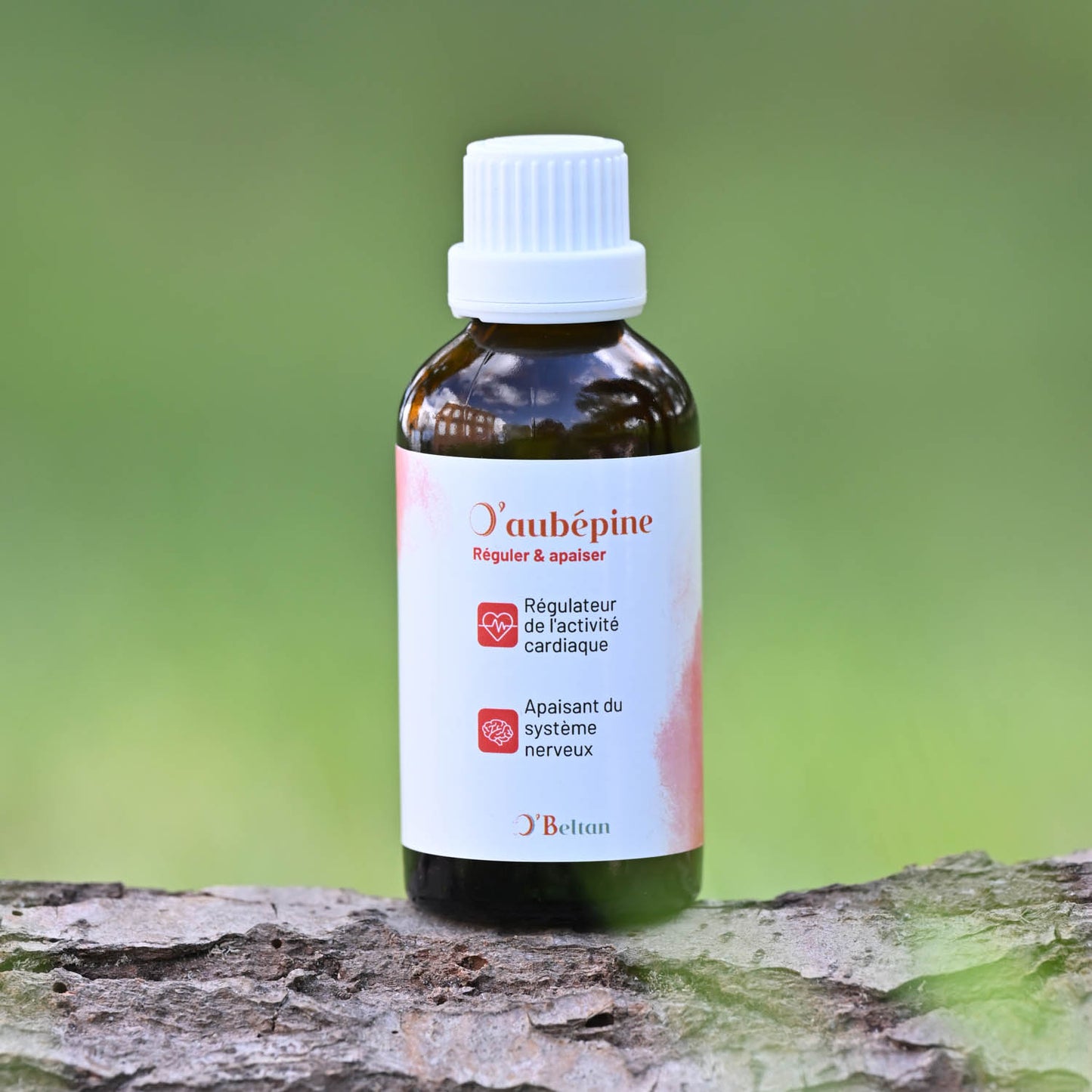 O’aubépine O’BELTAN – Gemmothérapie Naturelle pour le Soutien Cardiaque des Chevaux