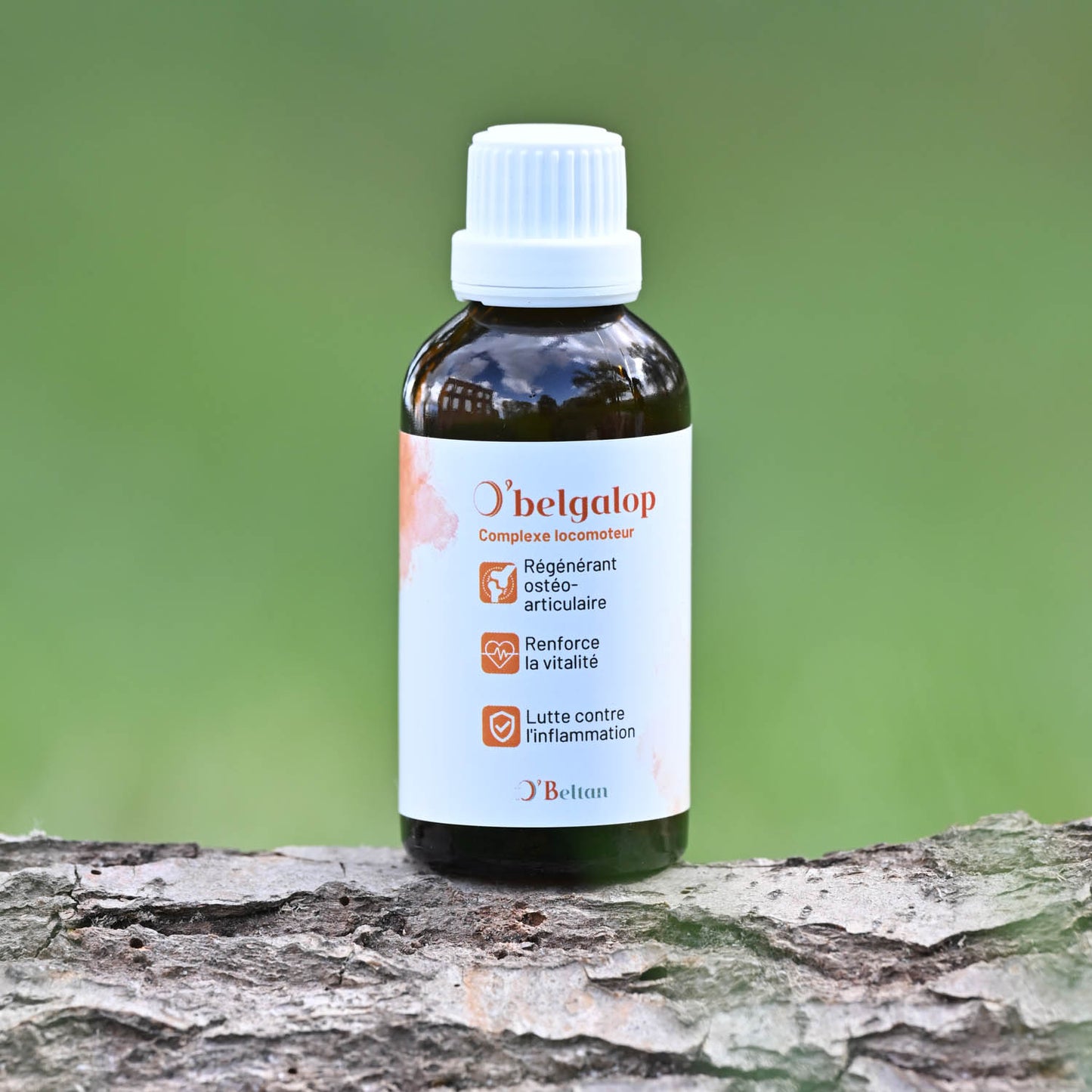 O’Belgalop O’BELTAN – Complexe Articulaire Naturel Cheval Mobilité et Souplesse