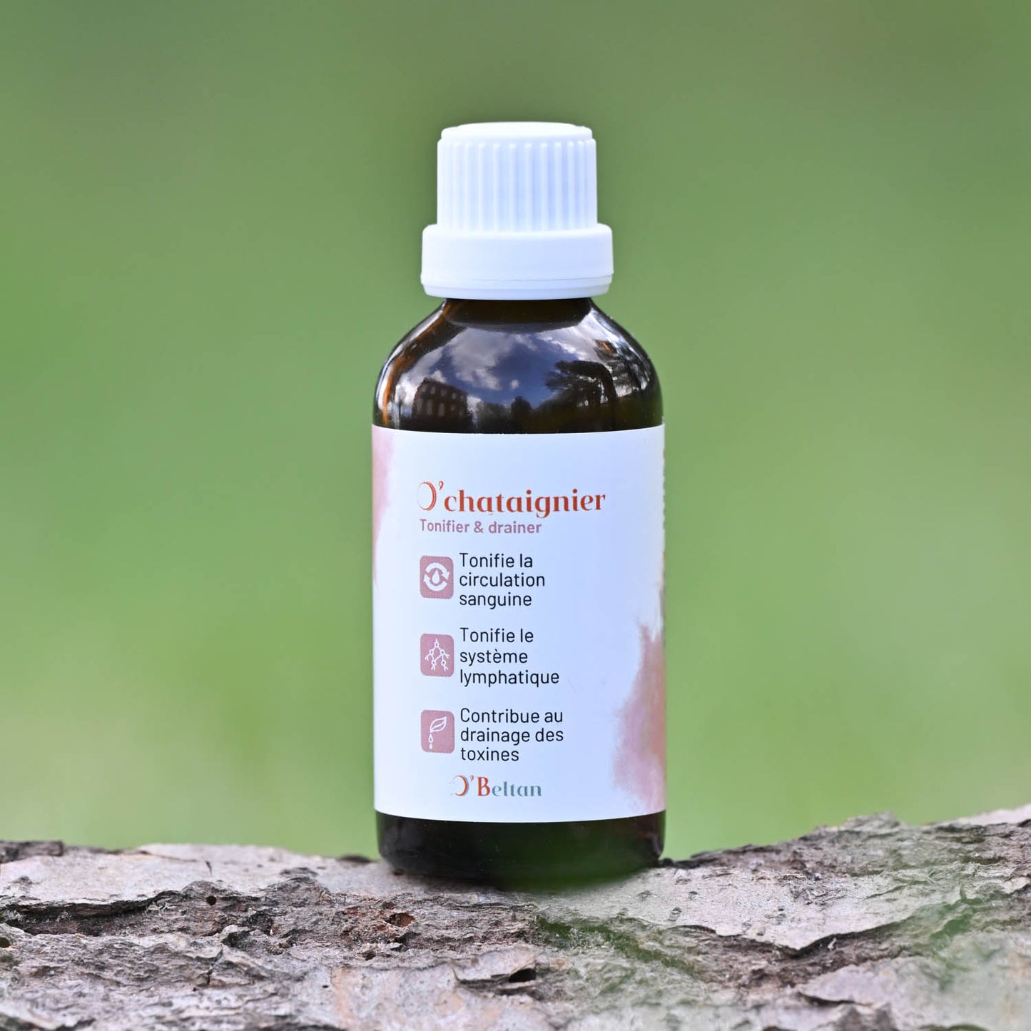 O’chataignier O’BELTAN – Gemmothérapie Naturelle pour Drainage et Vitalité des Chevaux