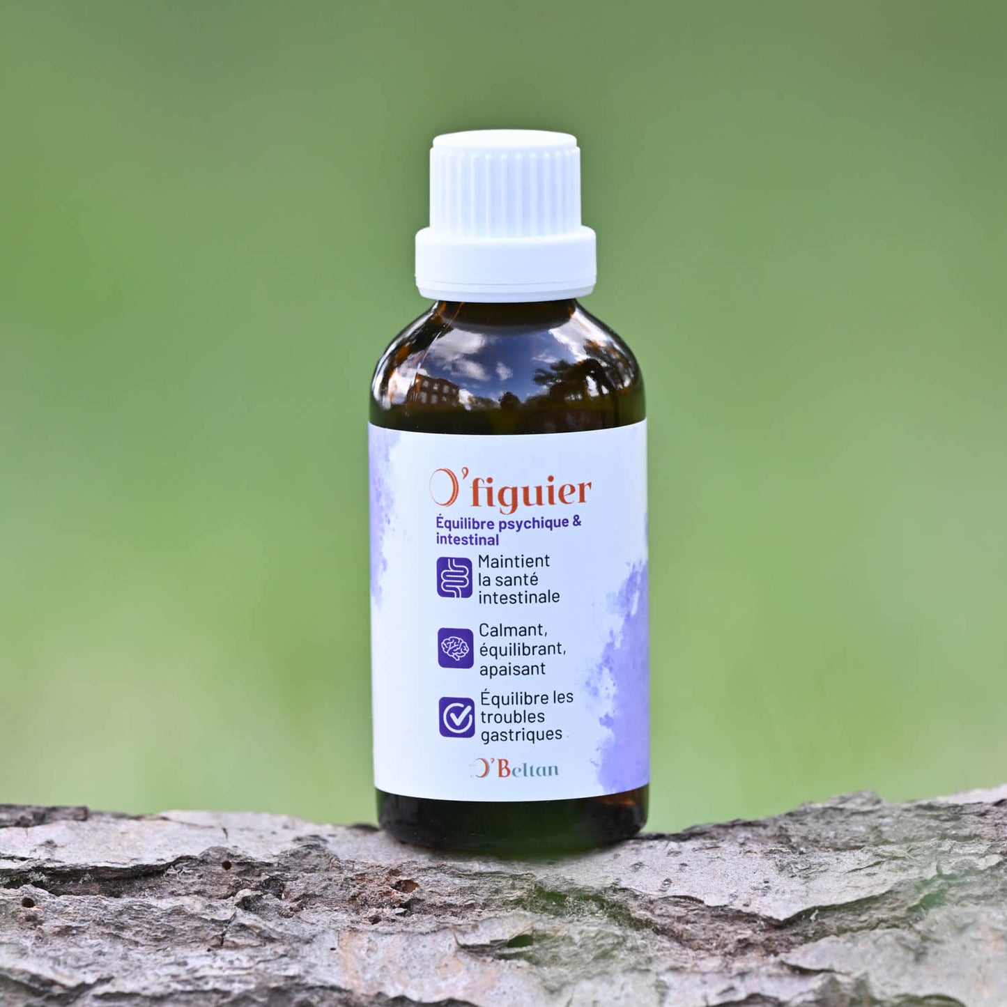 O’Figuier O’BELTAN – Gemmothérapie Naturelle pour Équilibre Psychique et Intestinal du Cheval