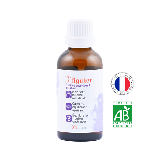 O’Figuier O’BELTAN – Gemmothérapie Naturelle pour Équilibre Psychique et Intestinal du Cheval