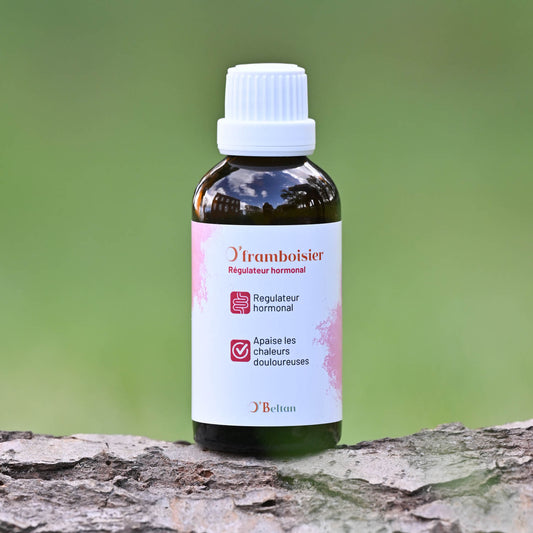 O’Framboisier O’BELTAN – Gemmothérapie Naturelle pour Régulation Hormonale des Chevaux