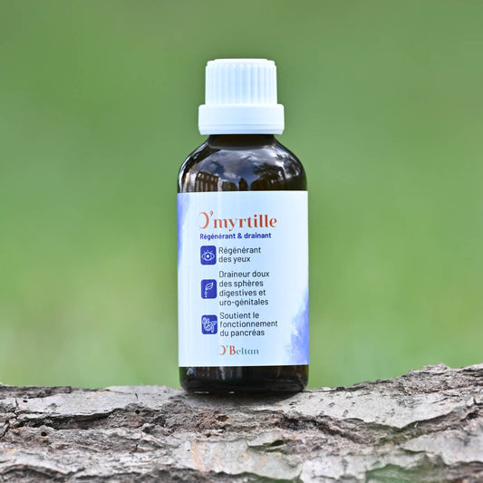 O’Myrtille O’BELTAN – Soin Naturel Oculaire par Gemmothérapie pour Chevaux