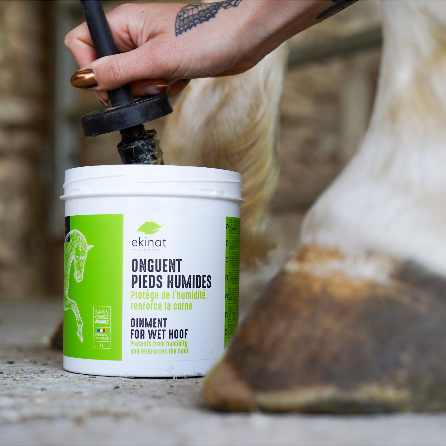 Onguent pieds humides cheval – Ekinat | Protection sabot naturel