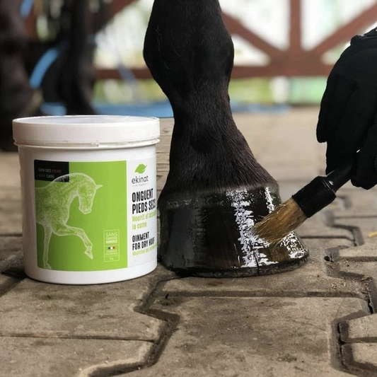 Onguent bio pieds secs cheval – Ekinat | Corne saine & souple