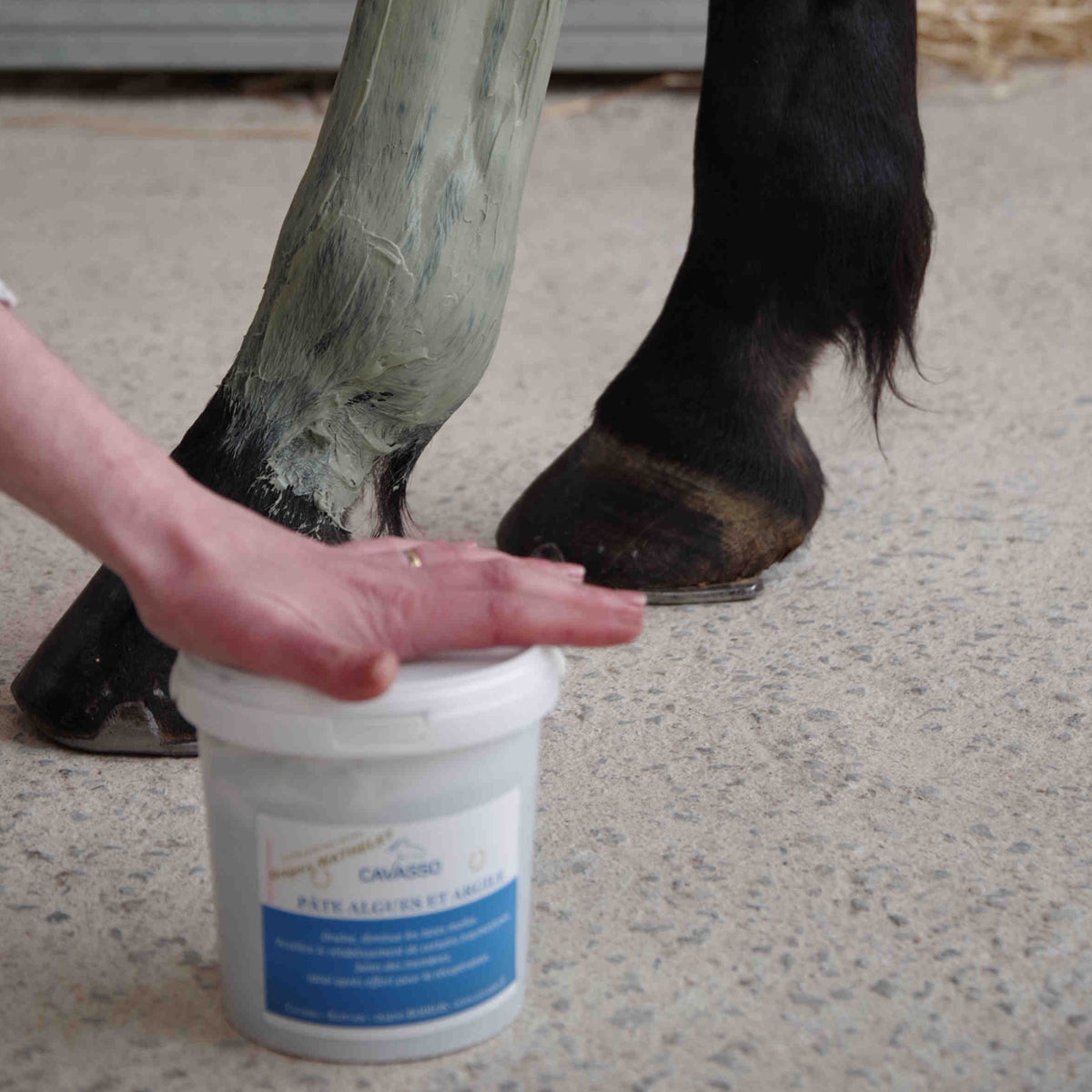 Pâte Algues Argile Cavasso – Drainage & Récupération Cheval
